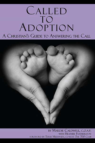 Called to Adoption book cover – Christian guide to adoption