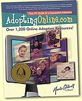 adoption book